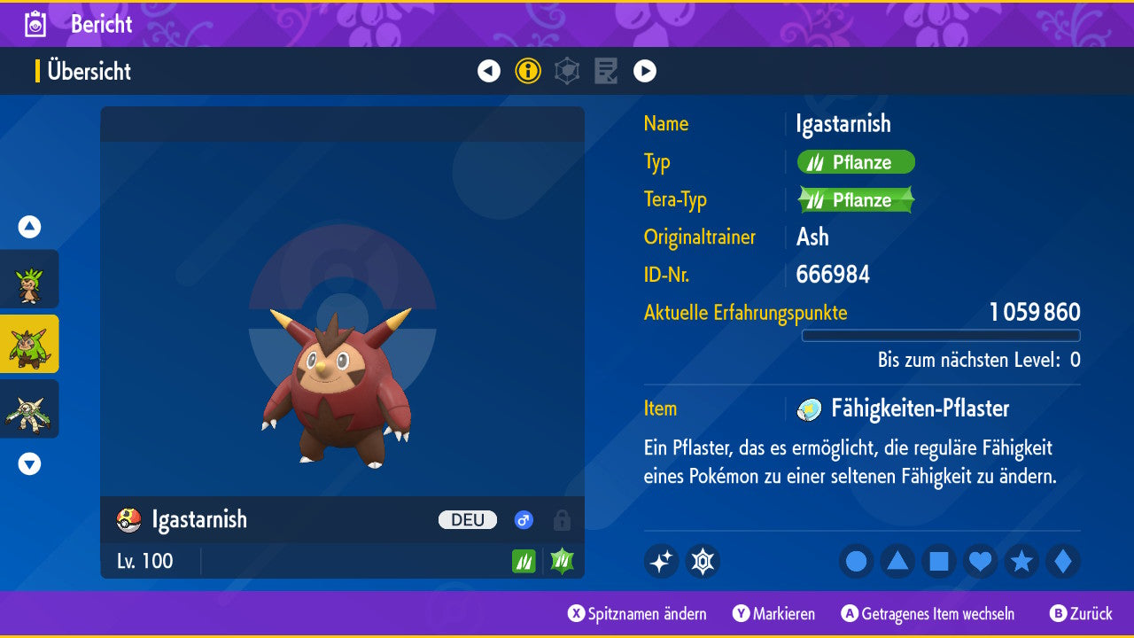 #651 Igastarnish SV