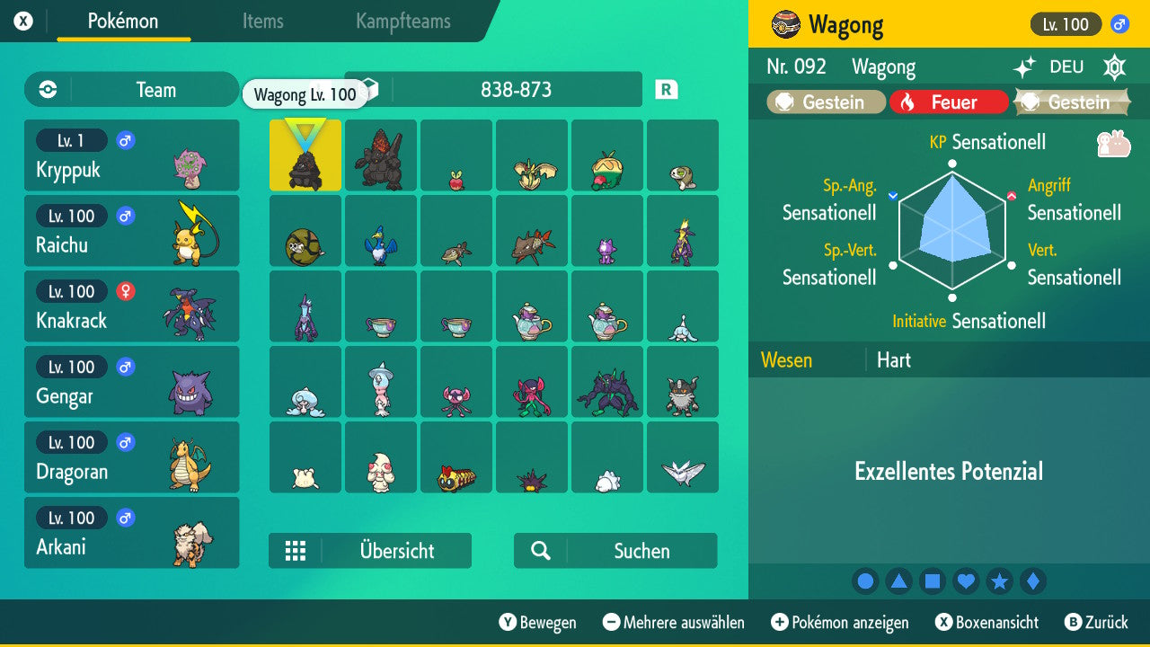 #838 Wagong SV