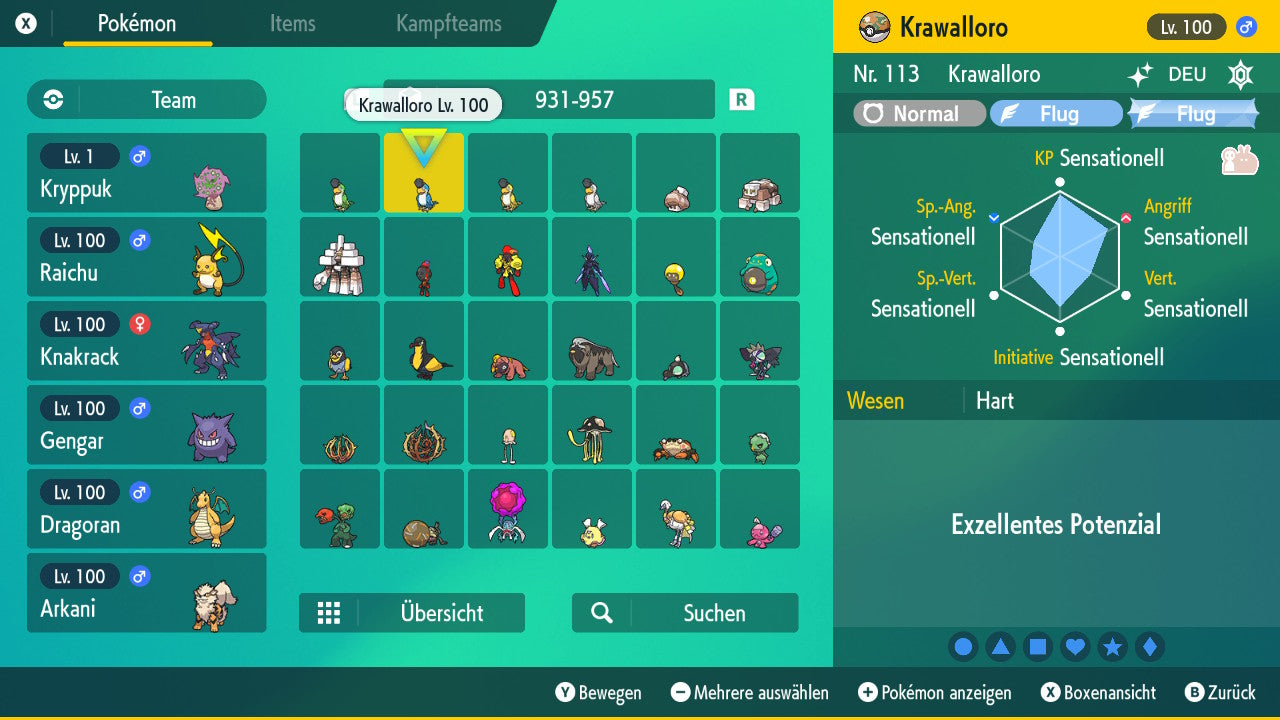 #931 Krawalloro Blaugefiedert SV
