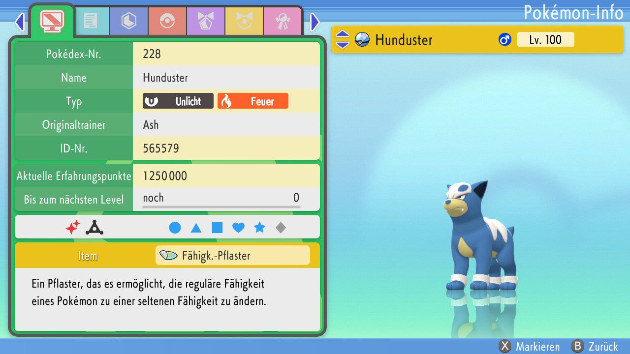 #228 Hunduster BDSP