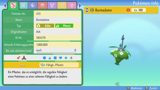 #413 Cap végétal Burmadame BDSP