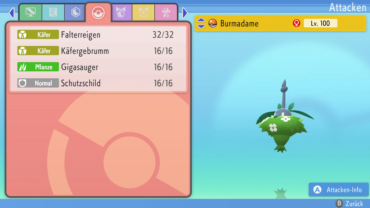 #413 Cap végétal Burmadame PVP BDSP