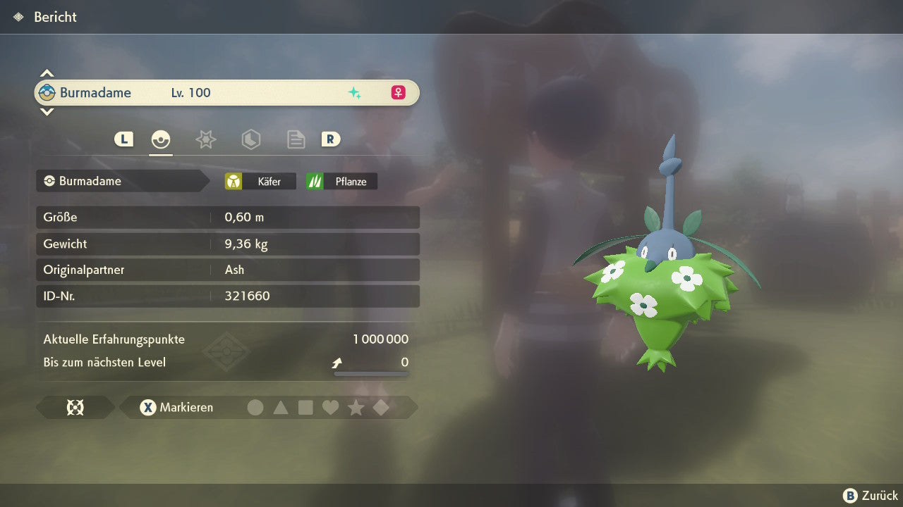 #413 Burmadame Plant Cape PLA