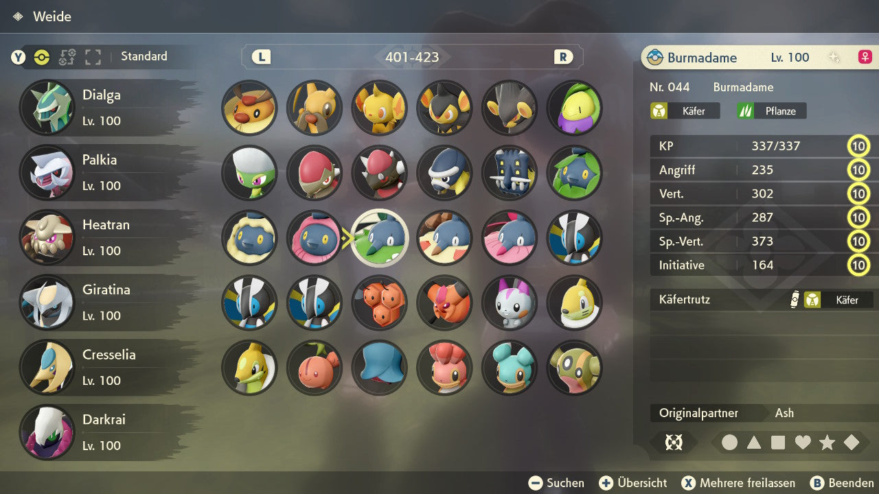 #413 Burmadame Plant Cape PLA