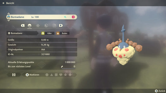 #413 Cape de sable Burmadame PLA