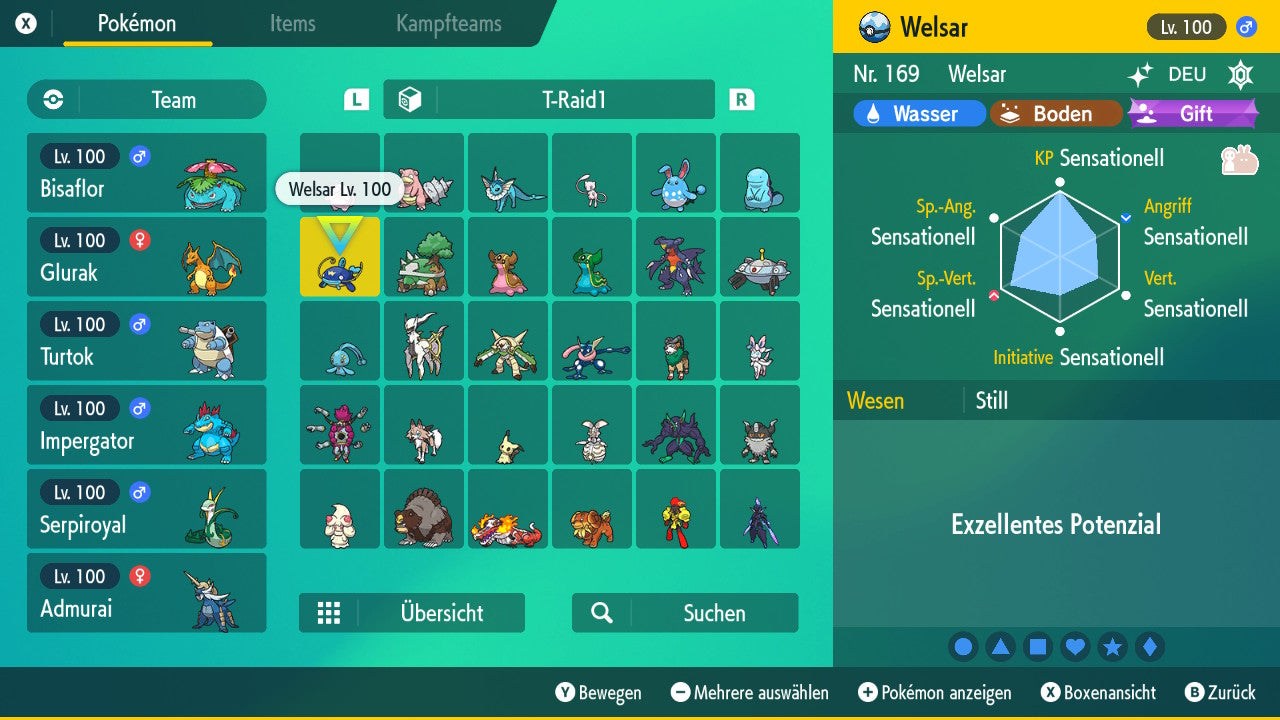 #340 Welsar T-Raid SV