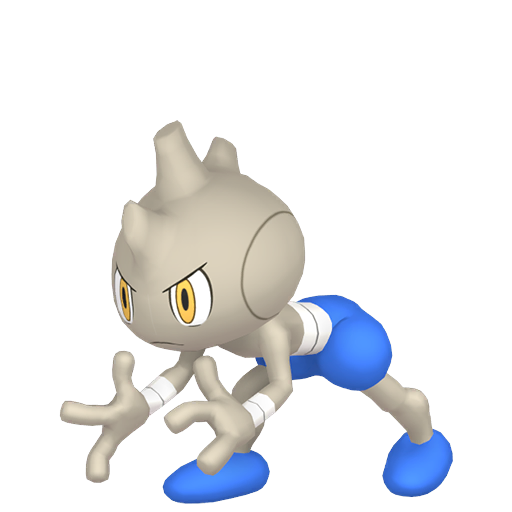 #236 Rabauz SV