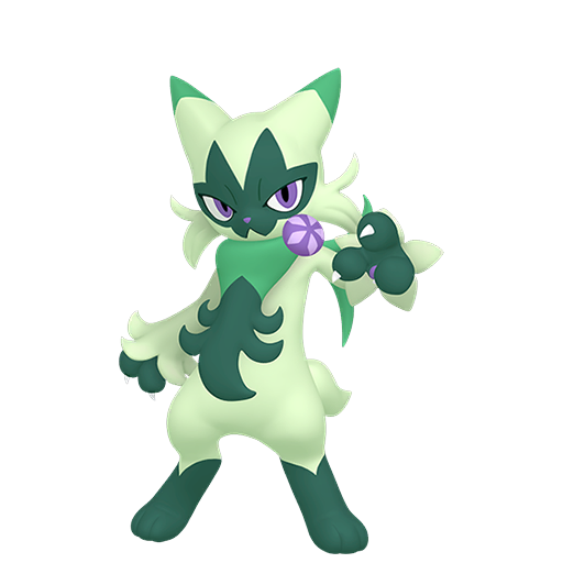 #907 Felispa