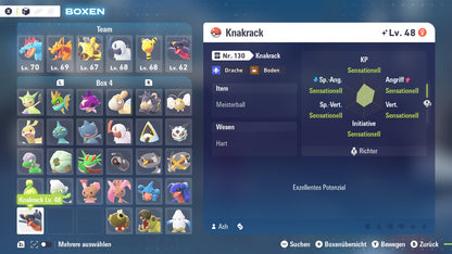 #445 Knakrack PVE ZA