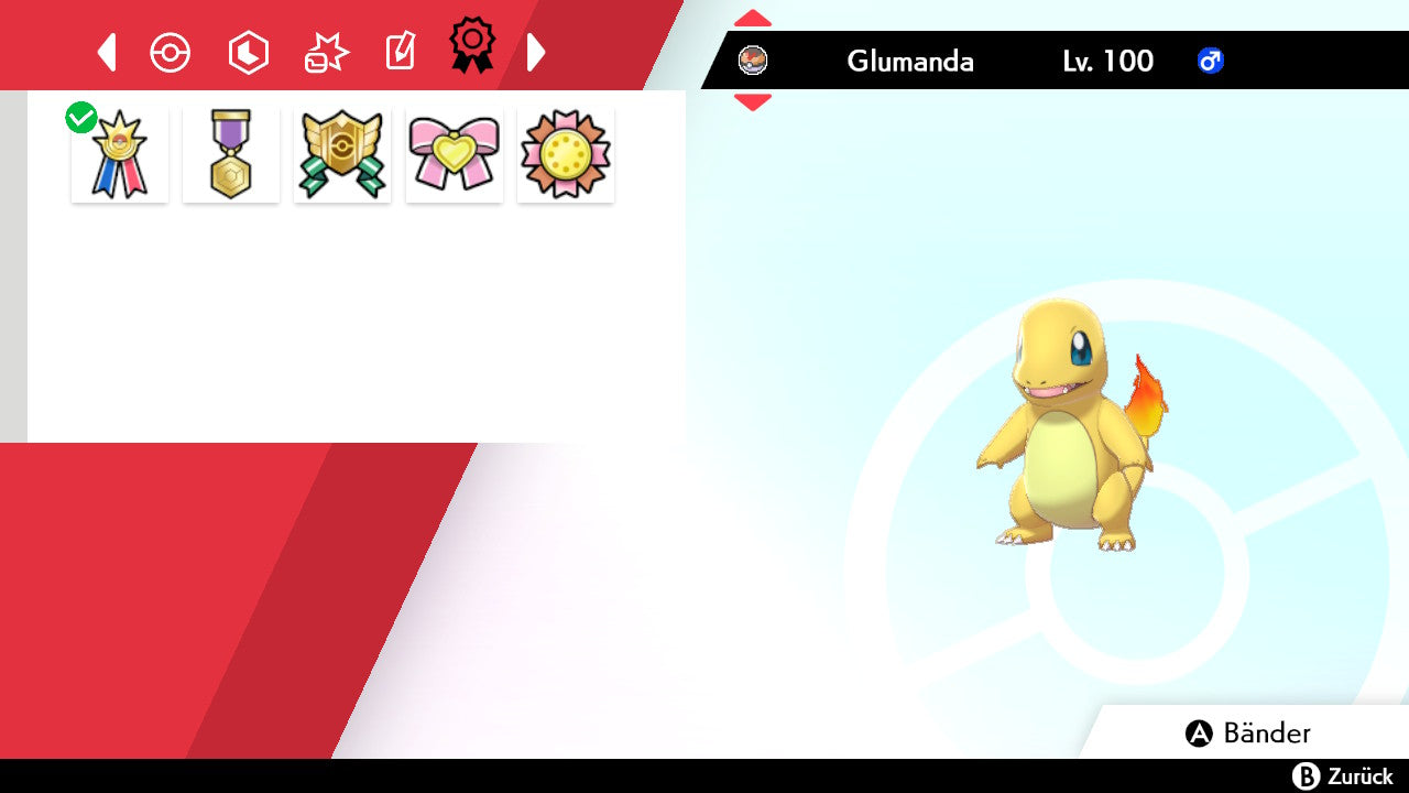 #004 Glumanda SnS