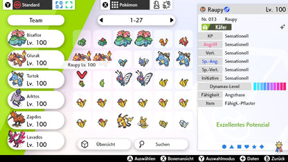#010 Raupy SnS
