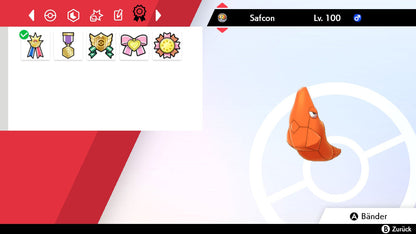 #011 Safcon SnS