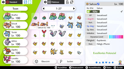 #011 Safcon SnS
