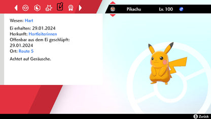 #025 Pikachu SnS