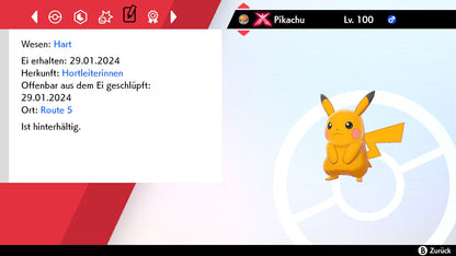 #025 Pikachu Gigadynamax SnS