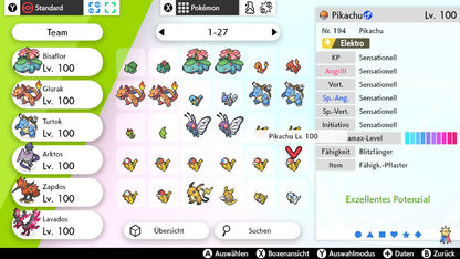 #025 Pikachu Alola-Kappe SnS