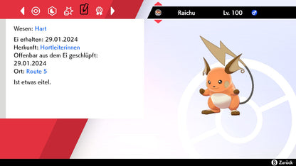 #026 Raichu SnS