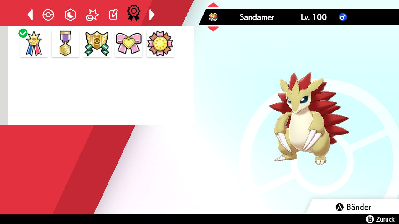 #028 Sandamer SnS