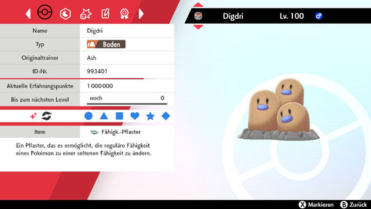 #051 Digdri SnS