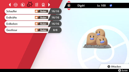 #051 Digdri SnS