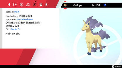 #078 Gallopa SnS