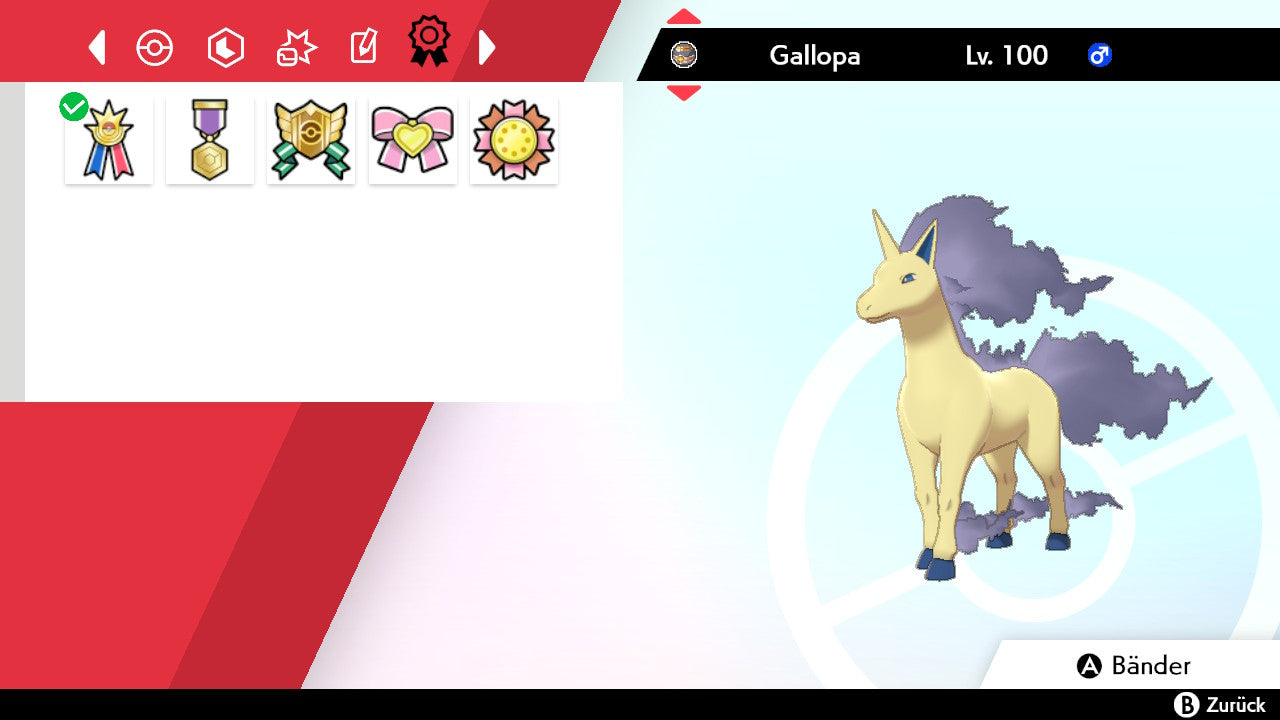 #078 Gallopa SnS