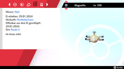 #081 Magnetilo SnS