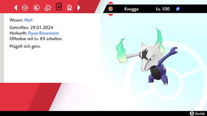 #105 Knogga-Alola SnS