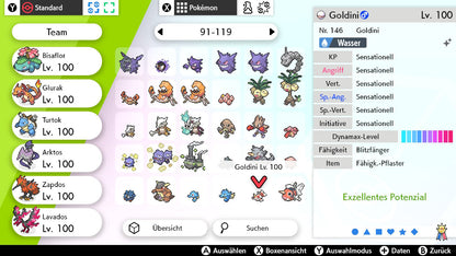 #118 Goldini SnS