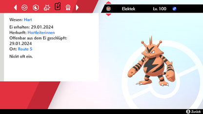 #125 Elektek SnS