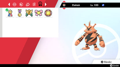 #125 Elektek SnS