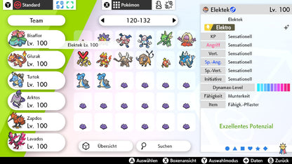 #125 Elektek SnS