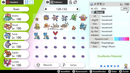 #132 Ditto Ernst SnS
