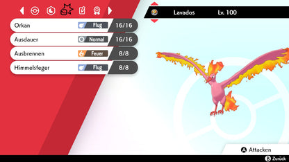 #146 Lavados SnS