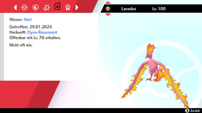 #146 Lavados SnS