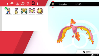 #146 Lavados SnS