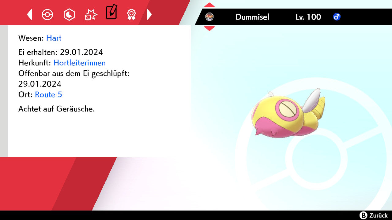 #206 Dummisel SnS