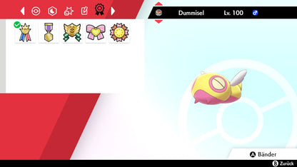 #206 Dummisel SnS