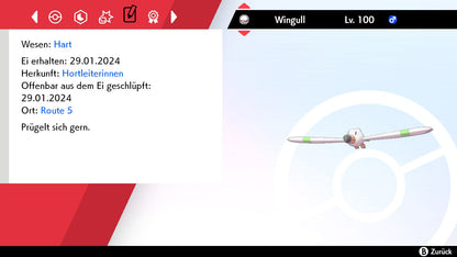 #278 Wingull SnS
