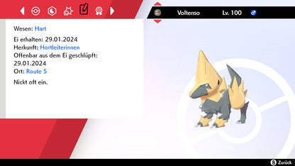 #310 Voltenso SnS