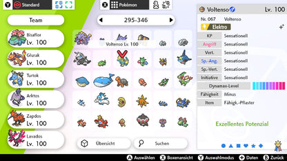 #310 Voltenso SnS