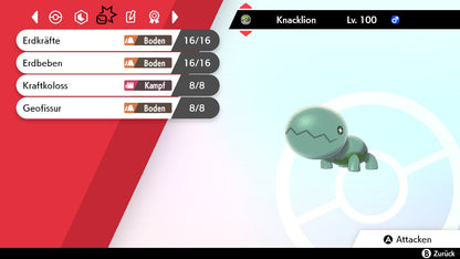 #328 Knacklion SnS