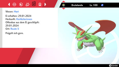 #373 Brutalanda SnS