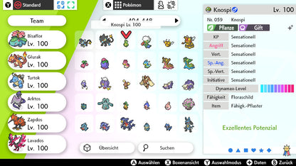 #406 Knospi SnS