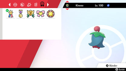 #421 Kinoso SnS