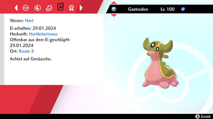 #423 Gastrodon Westliches Meer SnS