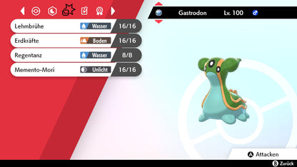 #423 Gastrodon Östliches Meer SnS