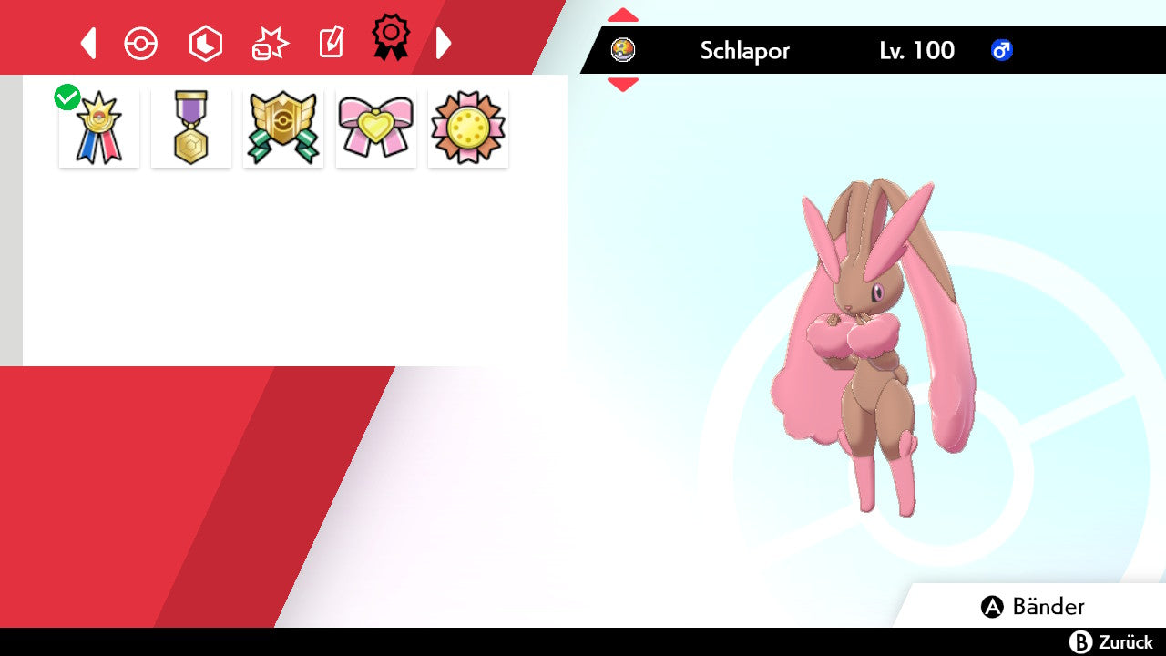 #428 Schlapor SnS