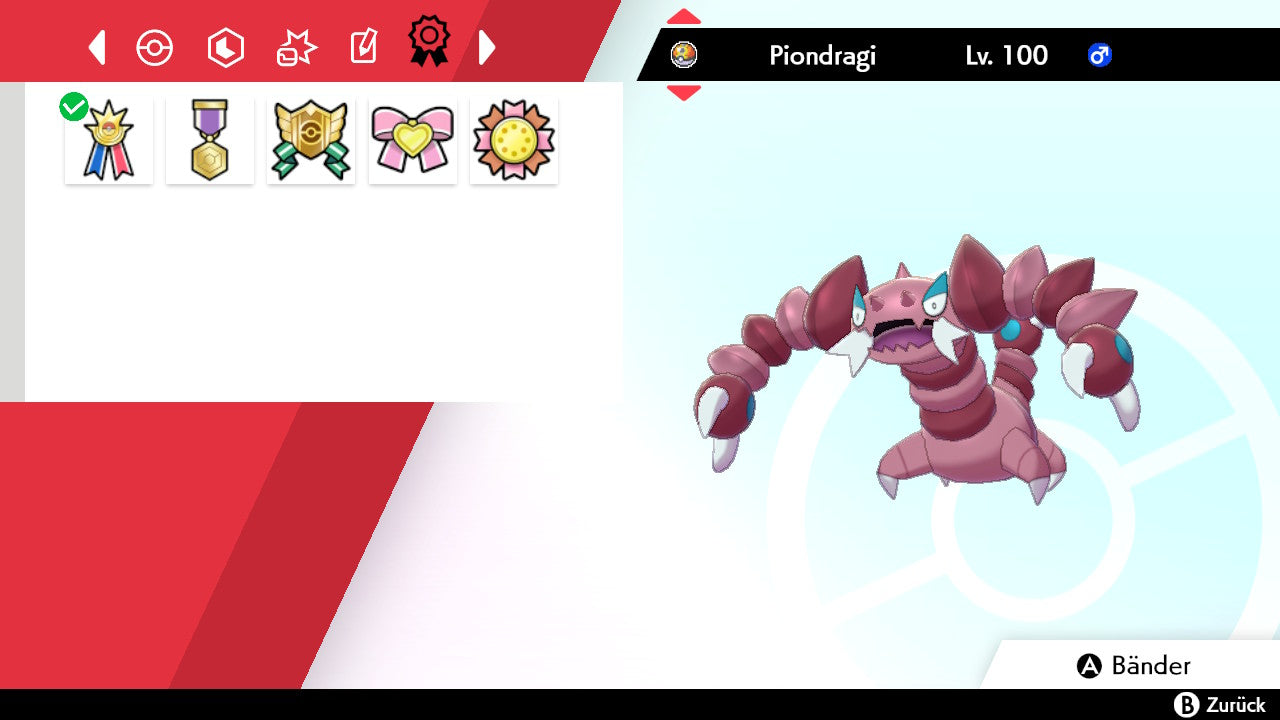#452 Piondragi SnS
