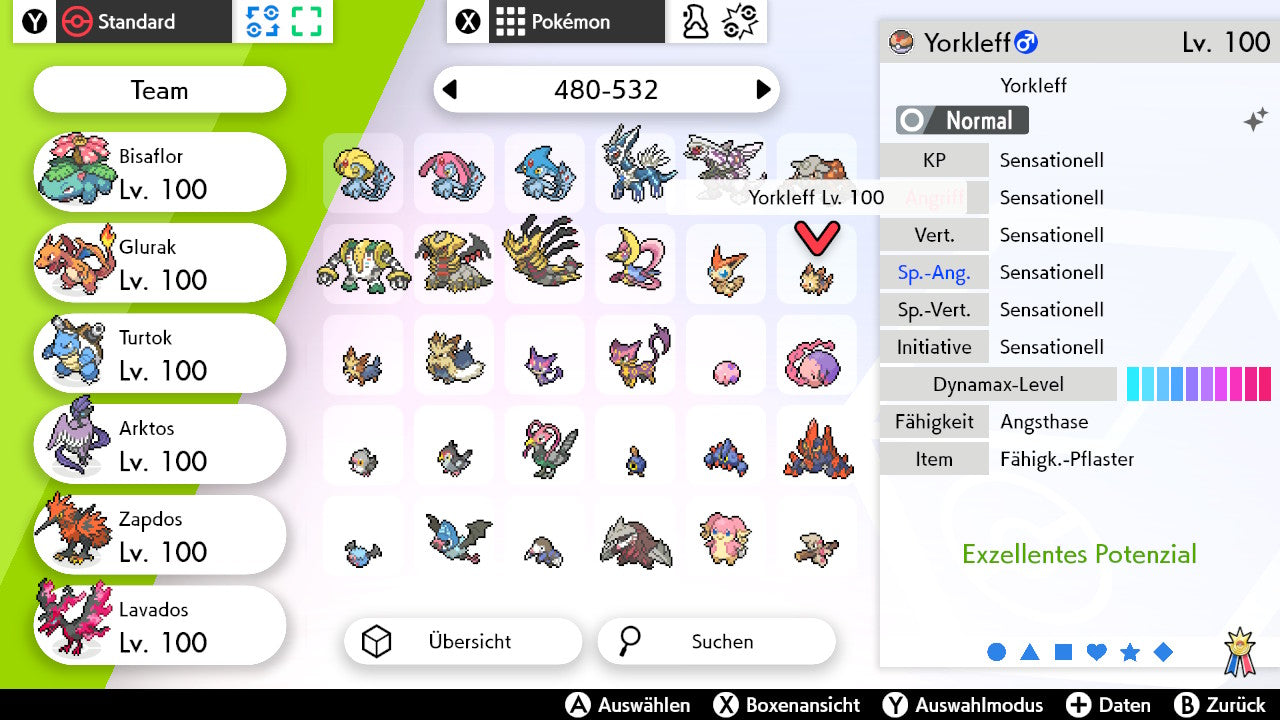 #506 Yorkleff SnS